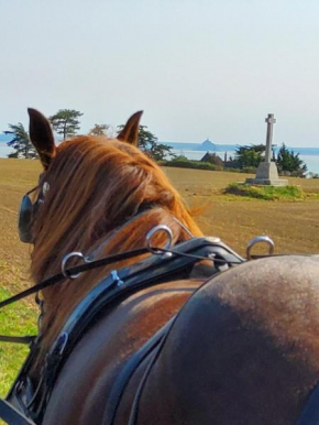 Chez Jollyjune Ferme Equestre des Courlis, à moins d'une heure du Mont Saint-Michel